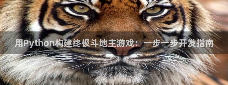 沐鸣2官网注册地址