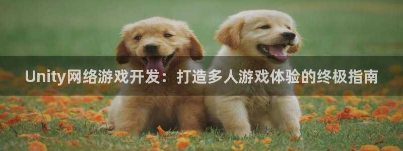 沐鸣2官网网址