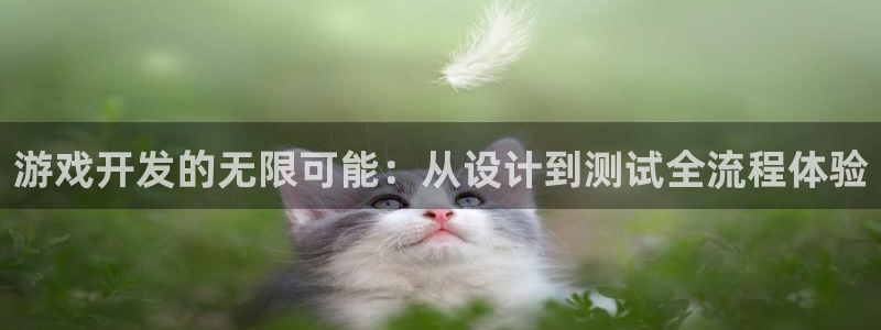 沐鸣娱乐2官网网址是什么：游戏开发的无限可能：从设计到测试全流程体验