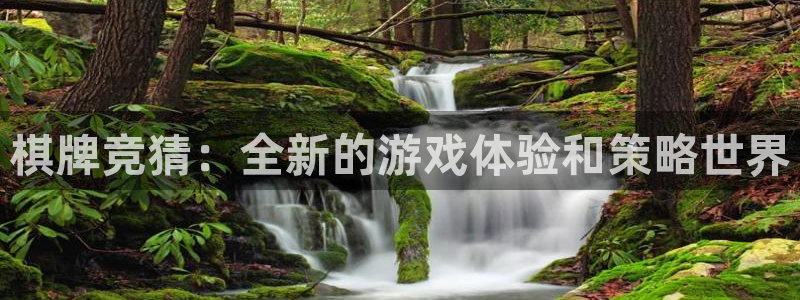 沐鸣2手机网页版：棋牌竞猜：全新的游戏体验和策略世界