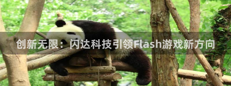 沐鸣2注册说来77542：创新无限：闪达科技引领Flash游戏新方向