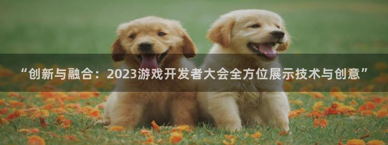沐鸣娱乐2登录平台官网下载：“创新与融合：2023游戏开发者大会全方位展示技术与创意”