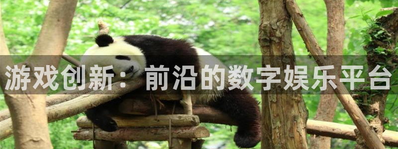 沐鸣2登录网址：游戏创新：前沿的数字娱乐平台