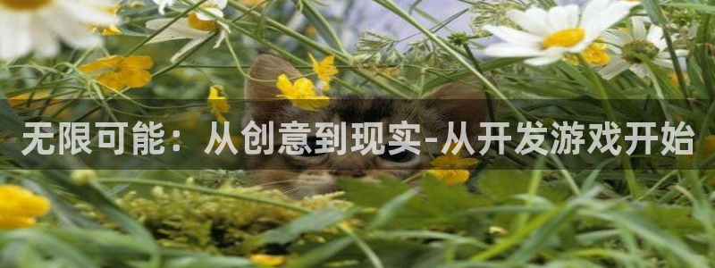 沐鸣娱乐2的分分彩：无限可能：从创意到现实-从开发游戏开始