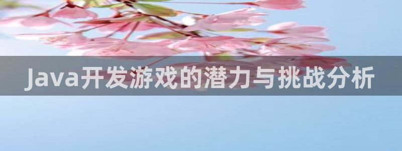 沐鸣娱乐2的分分彩：Java开发游戏的潜力与挑战分析