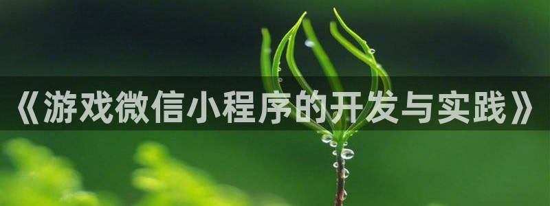 沐鸣2输钱能要回来吗：《游戏微信小程序的开发与实践》