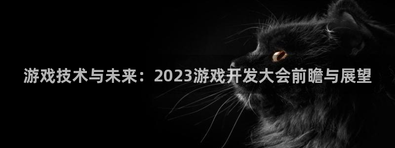 沐鸣娱乐2登录平台是什么软件：游戏技术与未来：2023游戏开发大会前瞻与展望