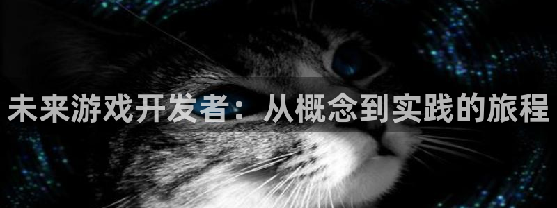 沐鸣娱乐2怎么登录账号：未来游戏开发者：从概念到实践的旅程