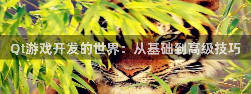 沐鸣2平台是杏彩的吗：Qt游戏开发的世界：从基础到高级技巧
