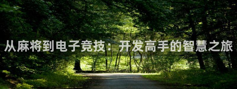 沐鸣娱乐2l怎么样：从麻将到电子竞技：开发高手的智慧之旅