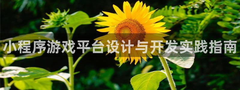 沐鸣2票35994度：小程序游戏平台设计与开发实践指南