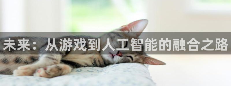 沐鸣2登录地址：未来：从游戏到人工智能的融合之路