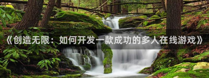 沐鸣娱乐2登录平台官网网址：《创造无限：如何开发一款成功的多人在线游戏》