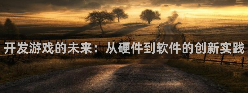 沐鸣娱乐2登陆不上怎么办：开发游戏的未来：从硬件到软件的创新实践