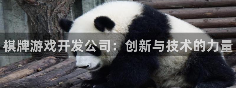 沐鸣2平台注册：棋牌游戏开发公司：创新与技术的力量