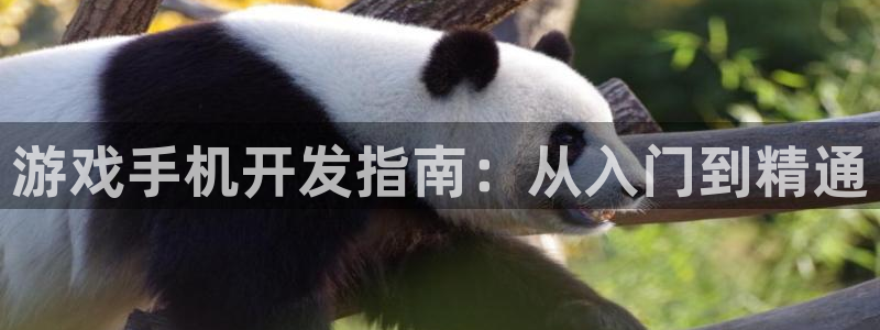 沐鸣2娱乐注册平台