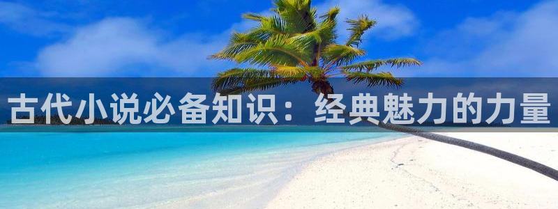 书包网辣文小说